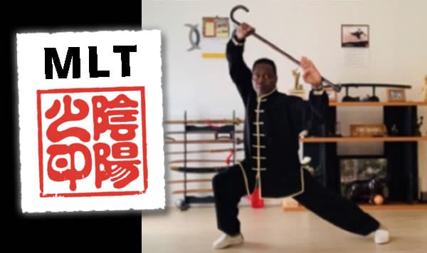MLT Walking Cane