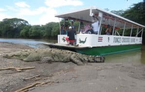 Jose's Crocodile River Tour