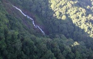 Pura Vida Gardens and Waterfalls